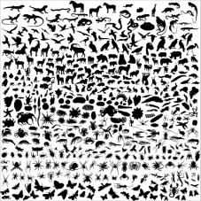 12621340_t 